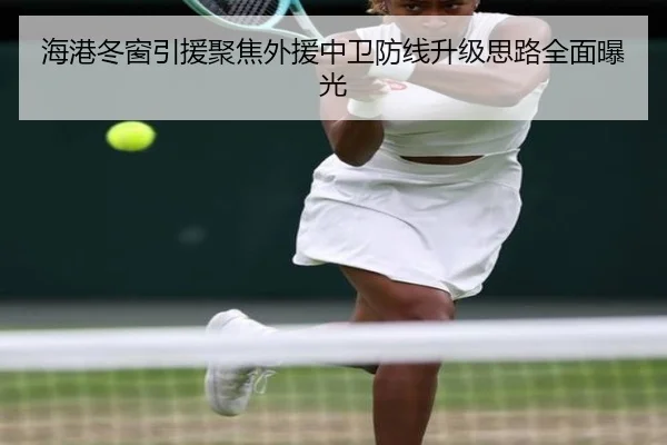 海港冬窗引援聚焦外援中卫防线升级思路全面曝光